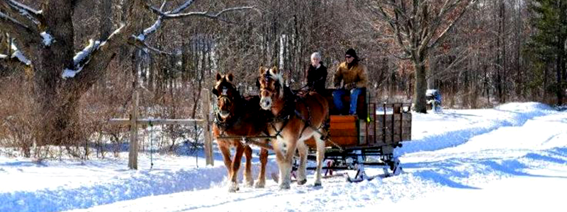 Photo of Hay and Sleigh Rides 7