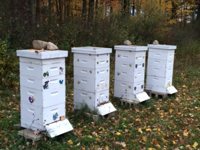Complete hives with 2 deeps and 2 supers