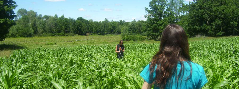 The farmer's daughters measuring out a portion of the maze