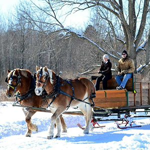 Rocky and Charlie are ready to go, all they need is you