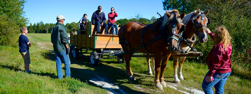 Photo of Hay and Sleigh Rides 1