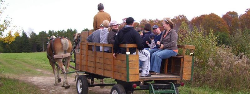 Photo of Hay and Sleigh Rides 10