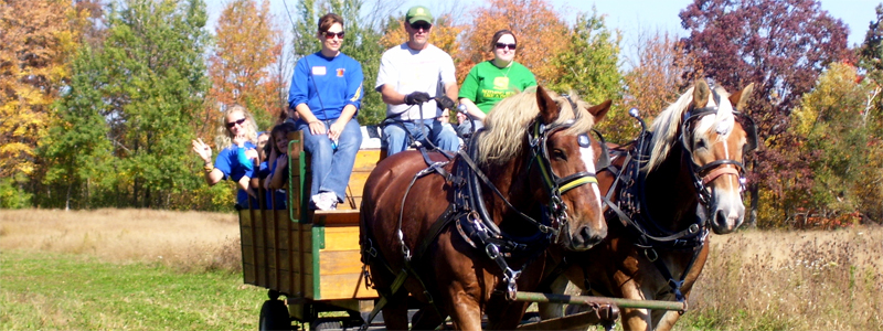 Photo of Hay and Sleigh Rides 18