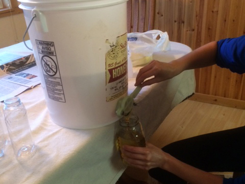 Pure honey being bottled for sale