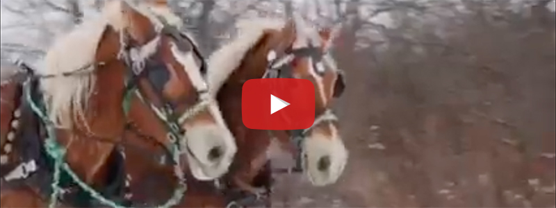 Hay & Sleigh Rides YouTube Video